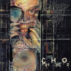 Anal Penetration : Anal Penetration - Punished Earth